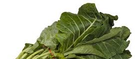 Michele the Trainer’s Los Cuatro 4 Collards