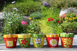 bigstock-Colorful-pots-with-pretty-flow-15285260