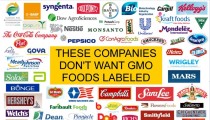 GMO Labeling; a Dirt Cheap Solution