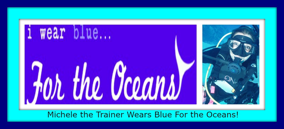 Wear Blue for the Oceans