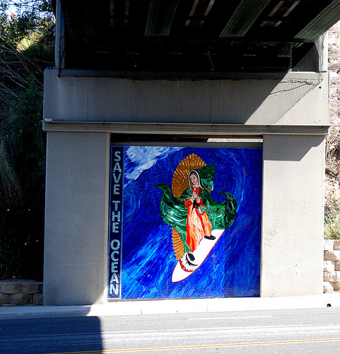 Surfing Madonna – Save the Ocean