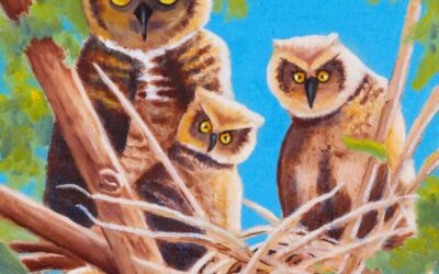Owl Love You Forever
