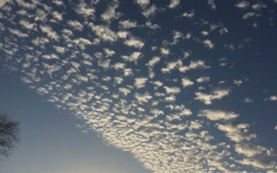 Cloud Storage
