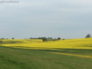 2015-05-02 16.57.38